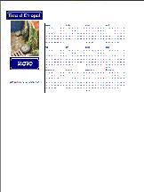 Rue d'�tropal 2010 calendar (A5 landscape) - French