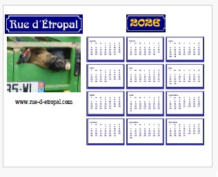 Rue d'�tropal 2026 calendar (A4 landscape) - French